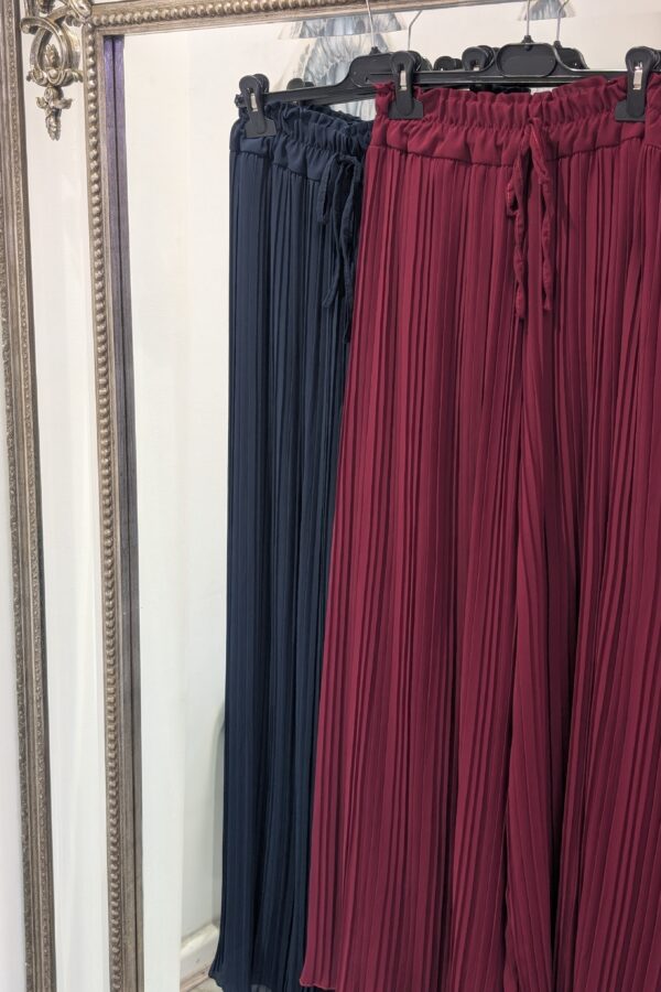 Shelly Fully Lined Pleated Trousers