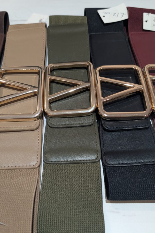 Verity Stretchy V Belt (Fits size 12 to 20)