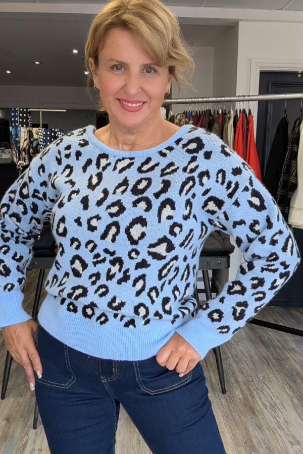 Olivia Leopard Print Jumper (One Size Fits 12 to 16)